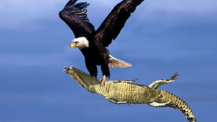 10 Worst Hunters in the Animal Kingdom (And 10 That Never Miss Their Mark)