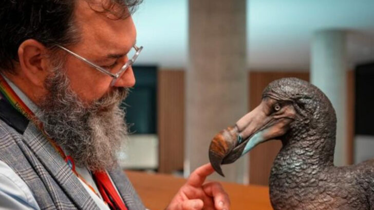 10 Must-Know Facts About the Dodo Bird—Nature’s Most Famous Extinction