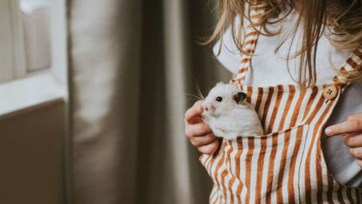 10 Pets That Form Unbreakable Bonds With Kids (And 5 That Aren’t So Great for Families)