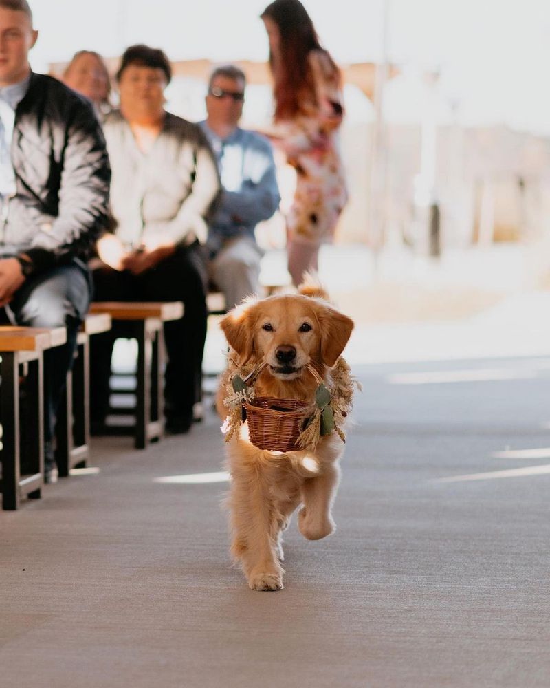 Ring Bearer