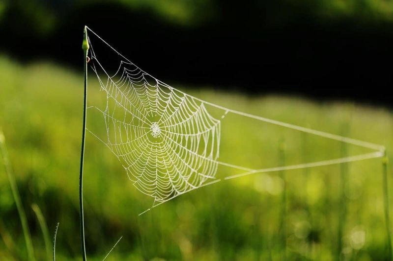 Web Design Changes