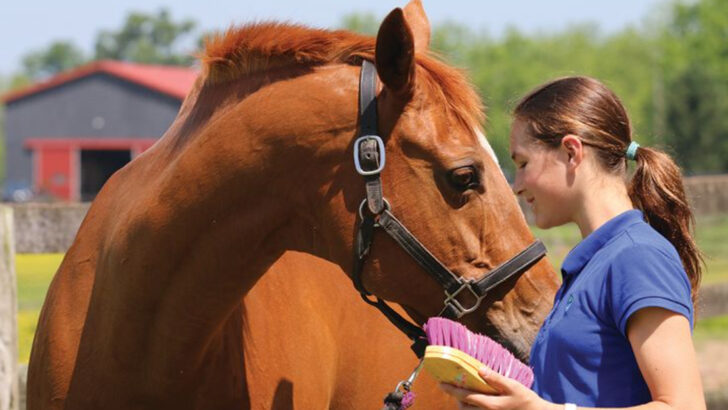 11 Things You Do That Horses Secretly Find Annoying (Even If You Mean Well)