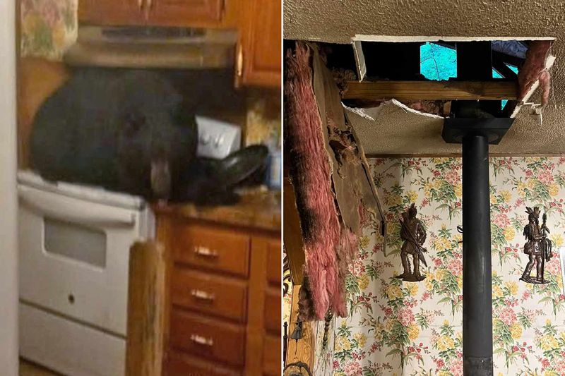 Kentucky Kitchen Crash