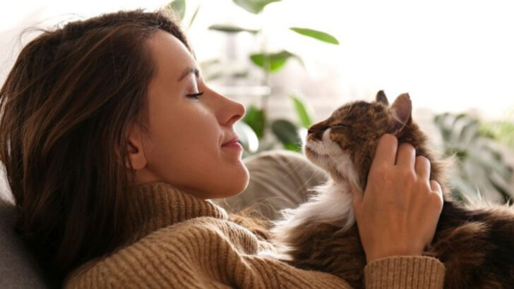 12 Cat Bonding Habits That Strengthen Your Connection—and 5 That Might Be Pushing Them Away