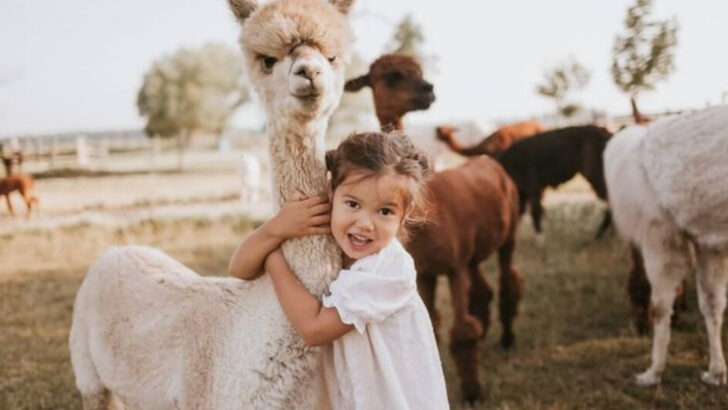12 Farm Animals Kids Love—and 6 That Might Be Too Much to Handle