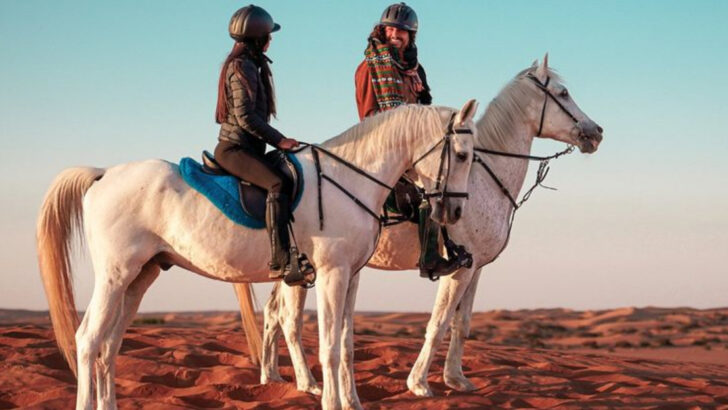 12 Horse Breeds You Should Never Own Unless You’re a Pro