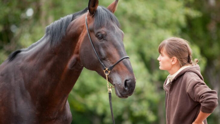 12 Smart Animals That Detect Human Lies Better Than You Think