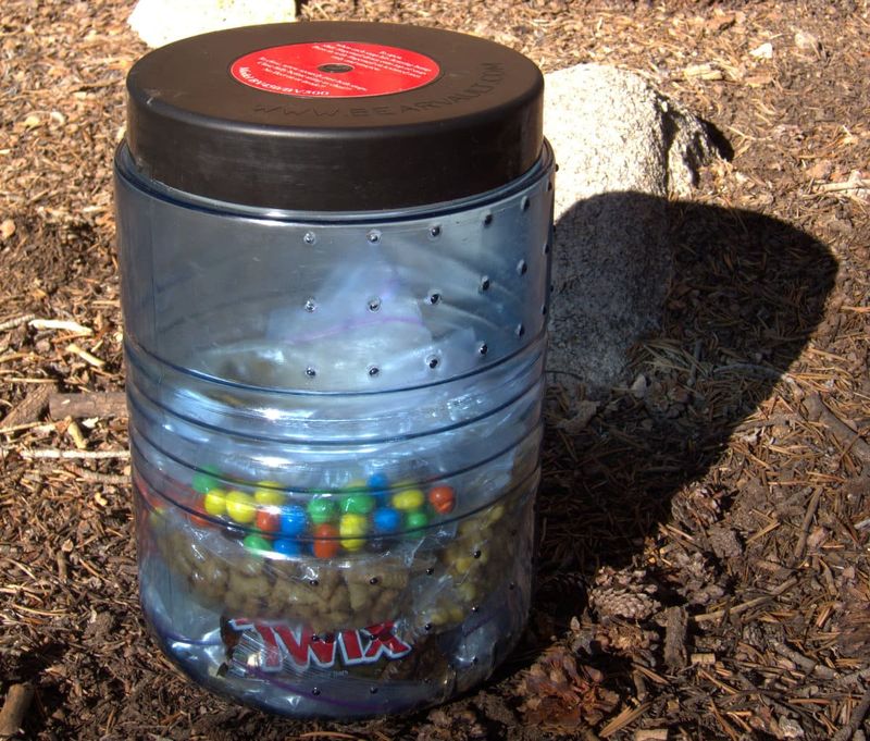Utilize Bear-Resistant Containers