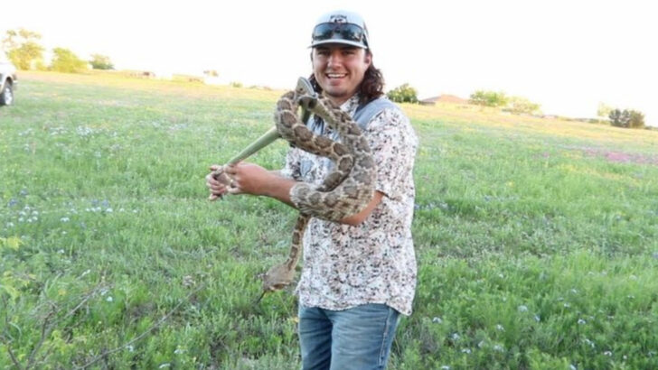 12 U.S. States Where Snake Attacks Are Quietly Rising (And What Locals Are Saying)