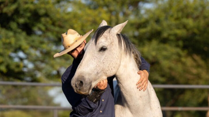 13 Common Horse Behaviors That Owners Often Misinterpret