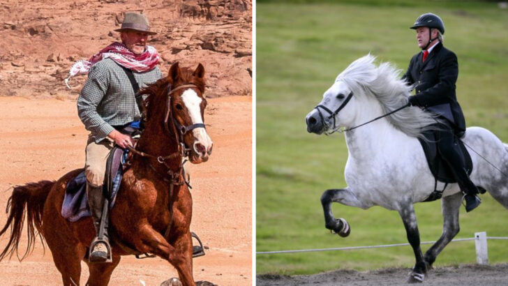 13 Horses That Are Perfect for Seniors—and 4 That Are Too Much to Handle