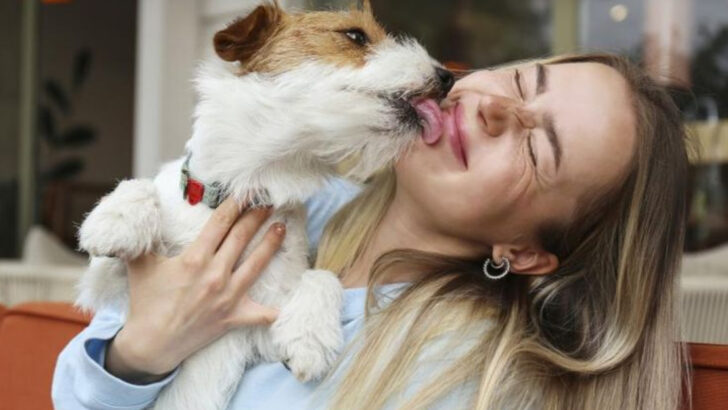 13 Signs Your Dog Is Closely Bonded with You and 5 That Reveal They Need More Attention