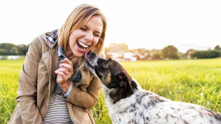 13 Ways to Know Your Dog is Fully Bonded to You (Some Might Surprise You)