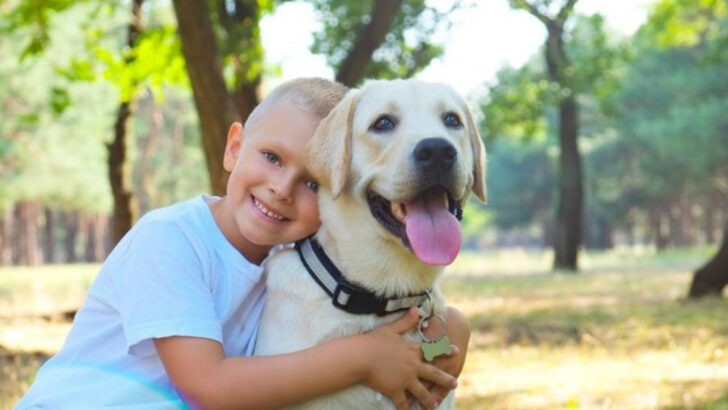 14 Dog Breeds That Crave Hugs and 6 That Aren’t So Fond of Snuggling
