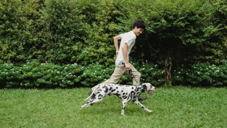 14 Dog Breeds That Vets Would Never Recommend (And Why Owners Still Love Them)