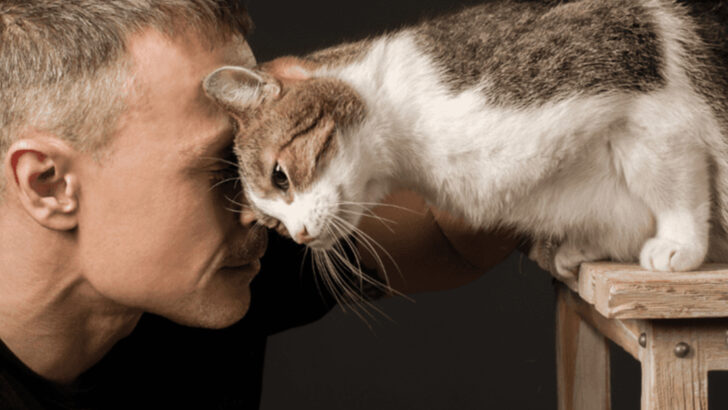 14 Subtle Shifts in Behavior That Signal Deep Cat Trust