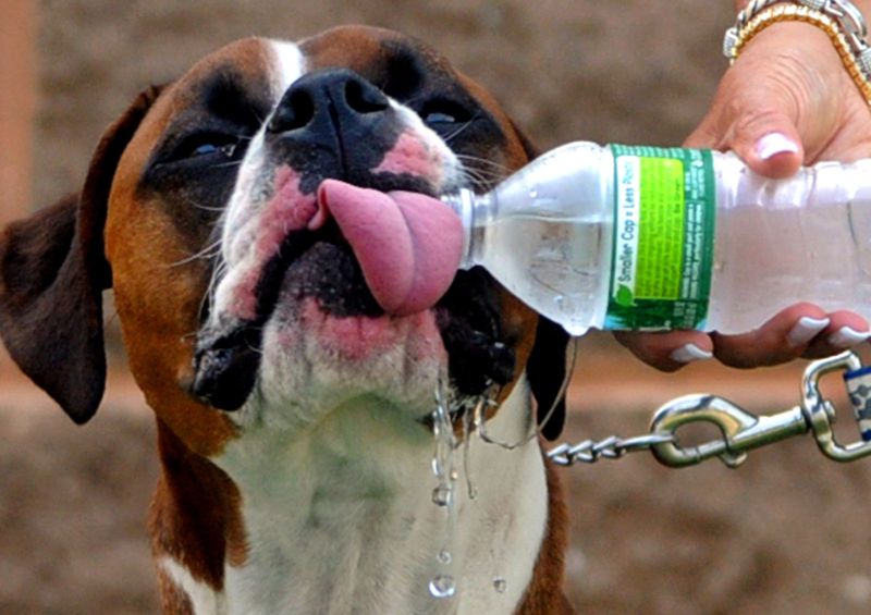 Hydration is Key