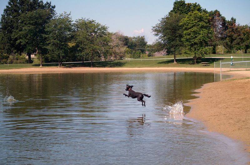 Bow Wow Beach