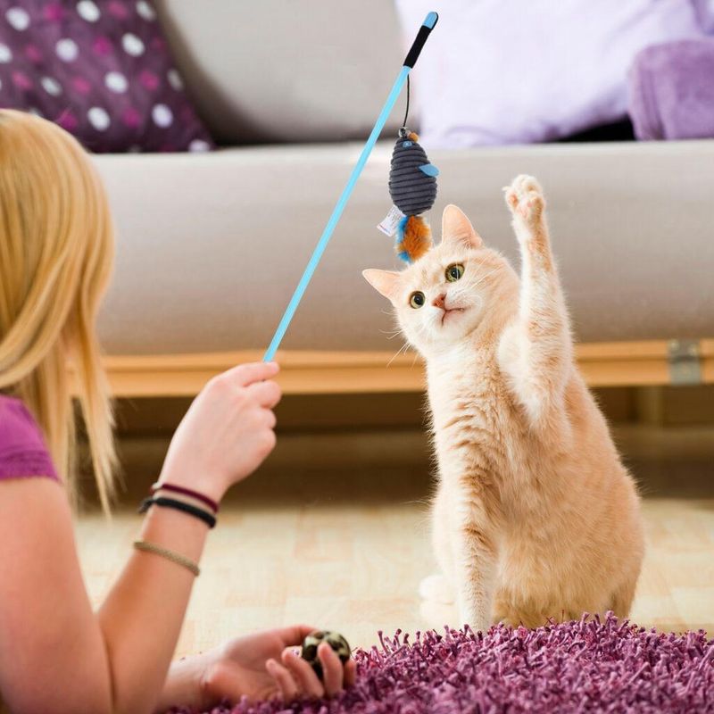 Feather Wand Toy