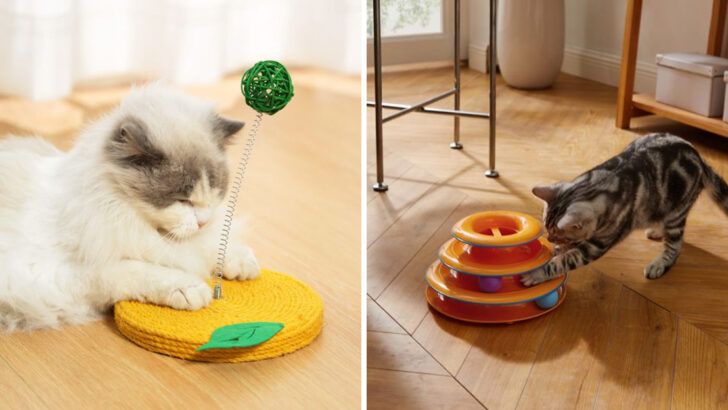15 Cat Toys That Actually Work—According to Feline Behavior Experts