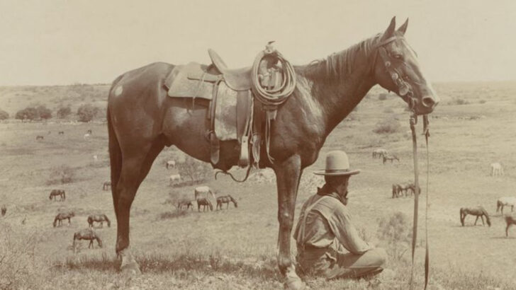 15 Incredible Ways Horses Have Shaped Human History—And Still Help Us Today