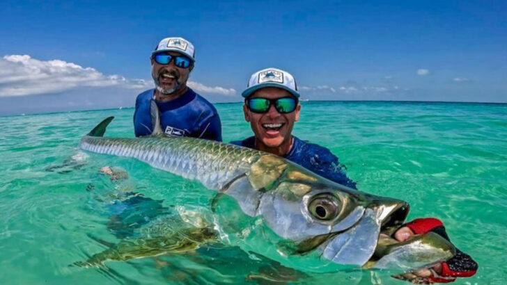 15 U.S. Tarpon Hotspots That Never Disappoint (And 4 That Might Leave You Empty-Handed)