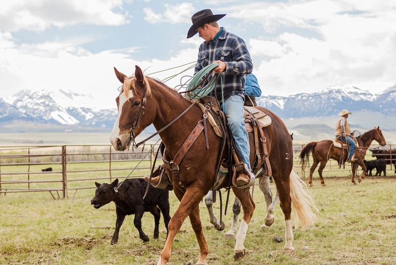 Ranch Hands