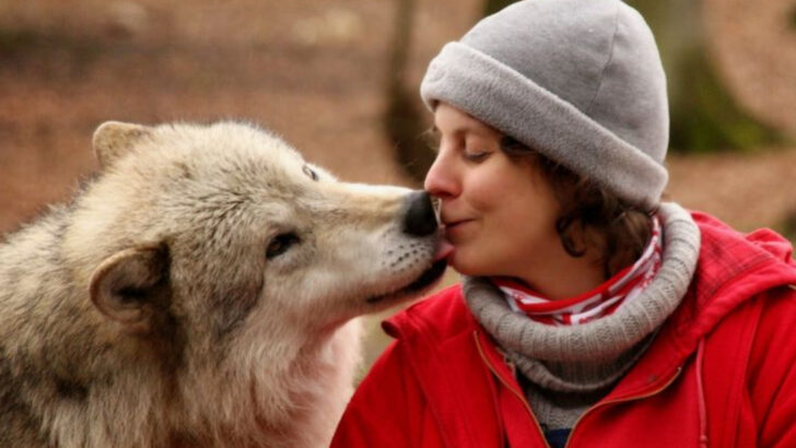 15 Wild Animals That Surprisingly Love Humans