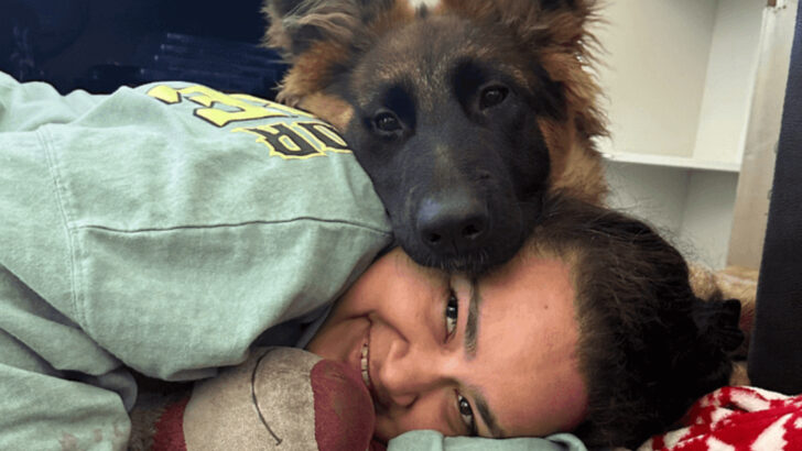 16 Dog Breeds That Act Like Therapists—and 4 That Just Know When You’re Not Okay