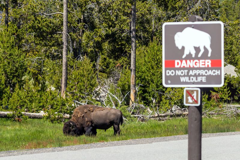 Yellowstone National Park