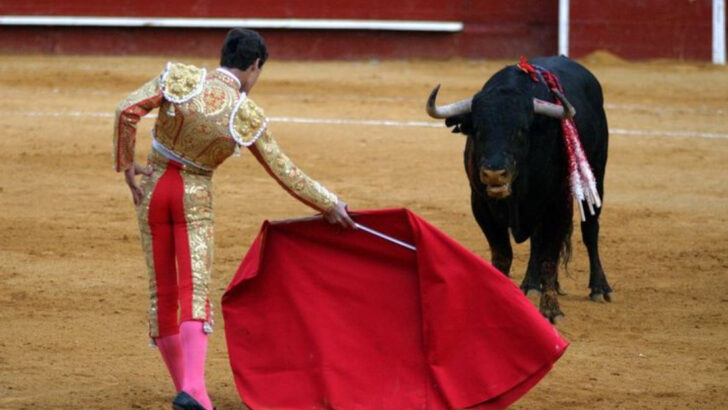 17 Animal Myths Everyone Believes—But Are Totally False