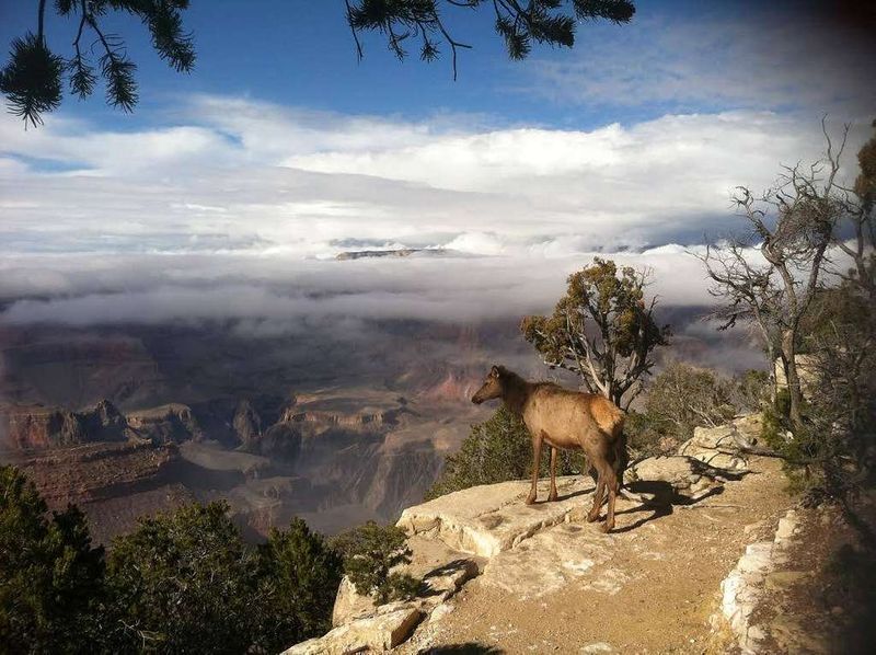 Grand Canyon National Park