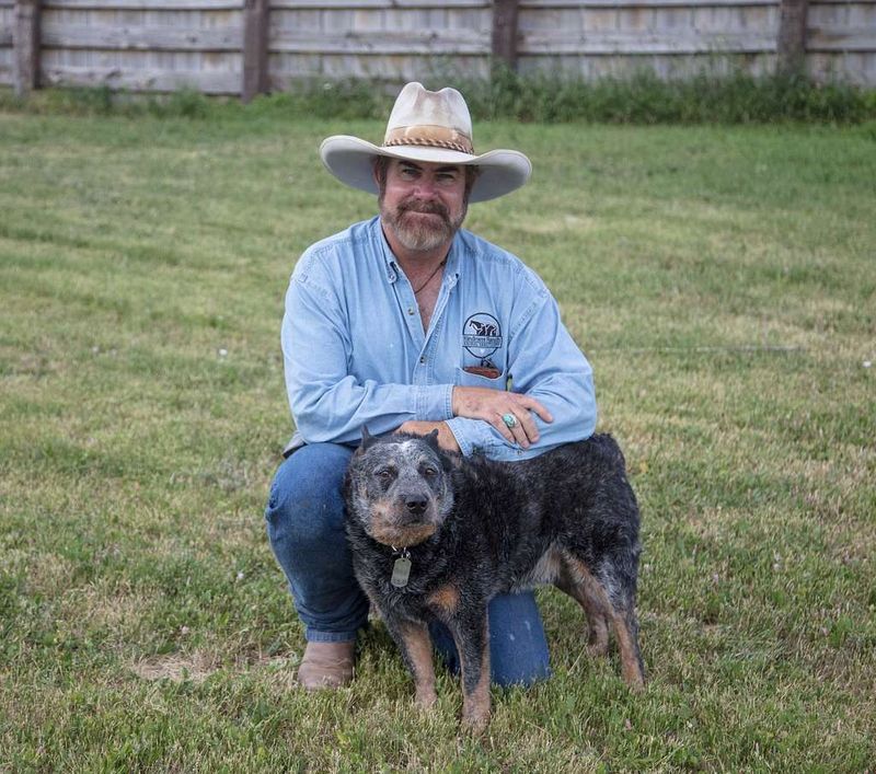 Australian Cattle Dog