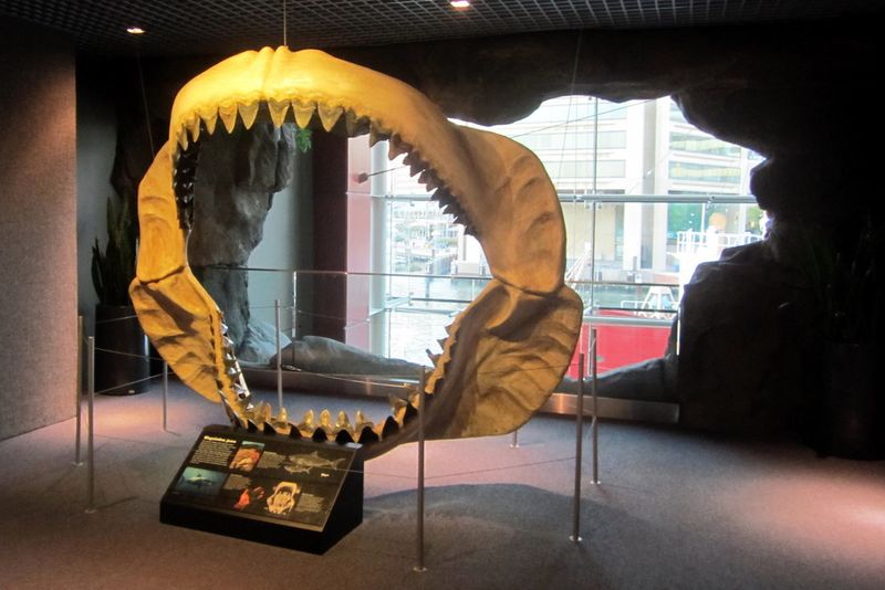 Megalodon