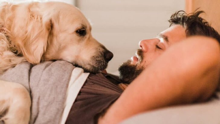 17 Signs Your Dog Is Trying to Comfort You—and You’re Missing Them
