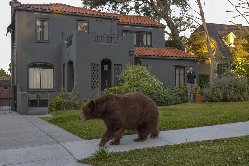 California