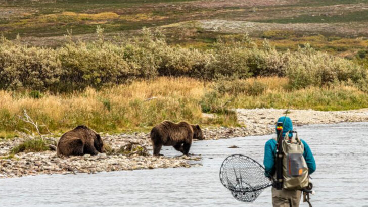 17 U.S. States Where Bears Are Getting Too Close for Comfort—And What Locals Are Doing About It