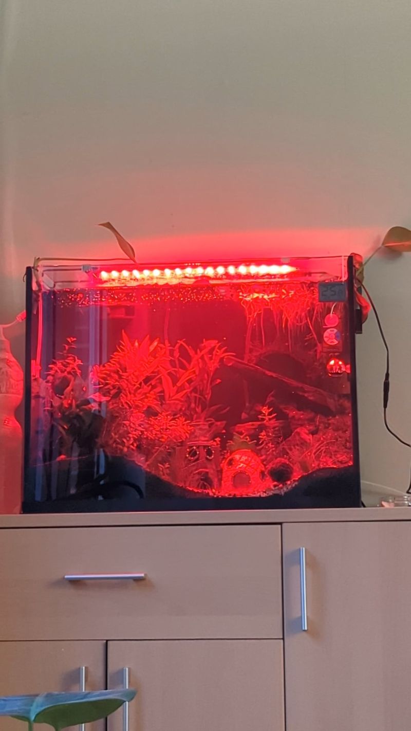 Using Bright, Flashing Lights