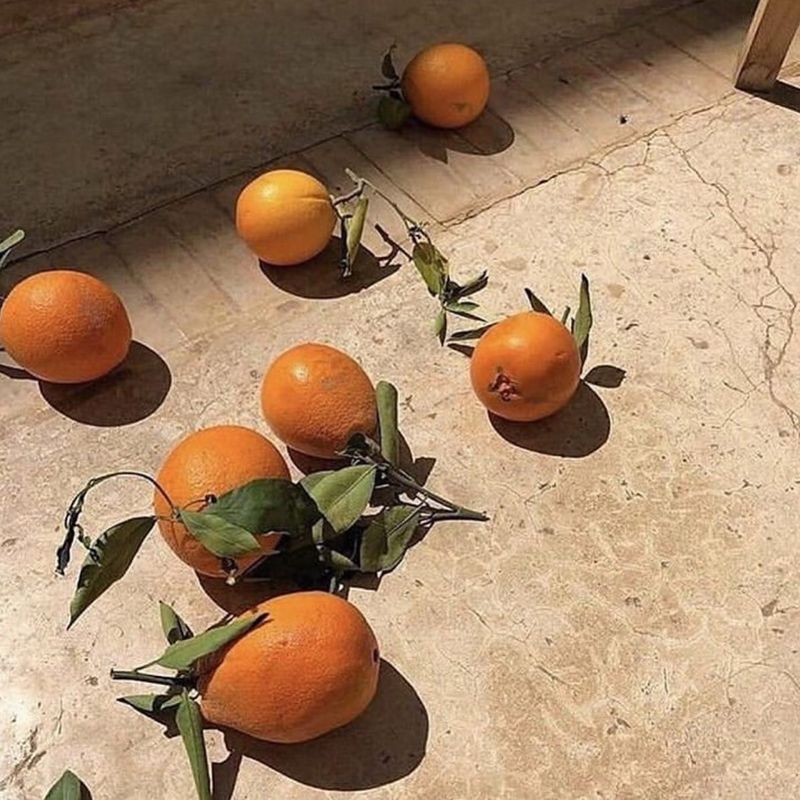 Citrus