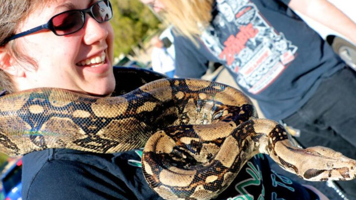 8 Things Reptile Owners Do That Make Their Pets Miserable