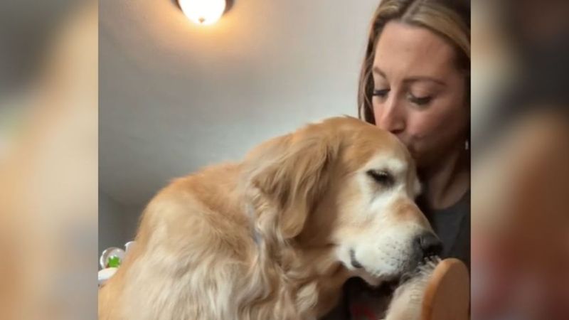 The Last Snuggle