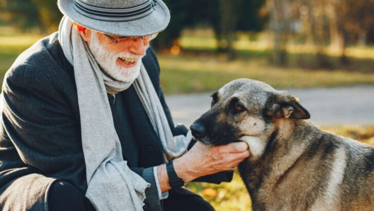 9 Emotional Ways Dogs Say Goodbye—And How They Show Love Until the End