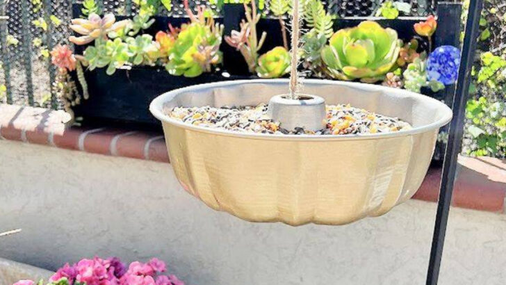 9 Kitchen Tools You Can Reuse for Birds and That Become Brilliant Nesting Stations