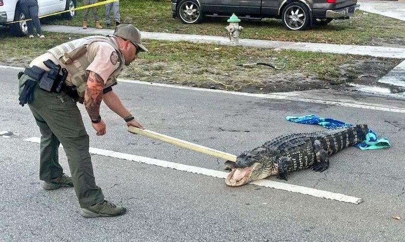 Florida