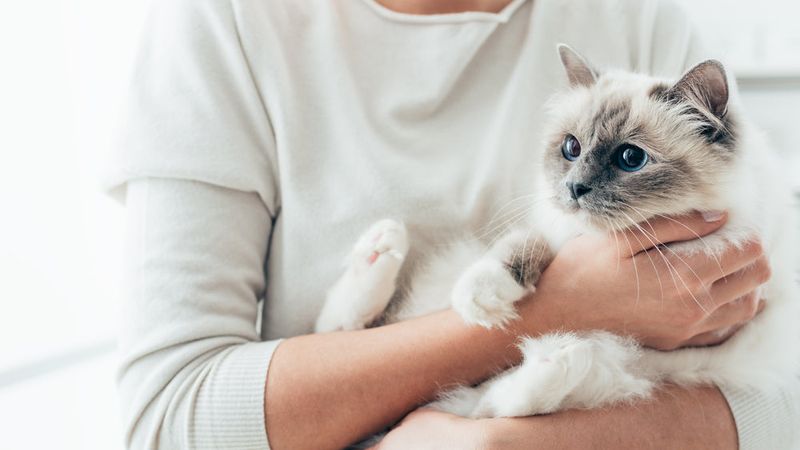 Birman