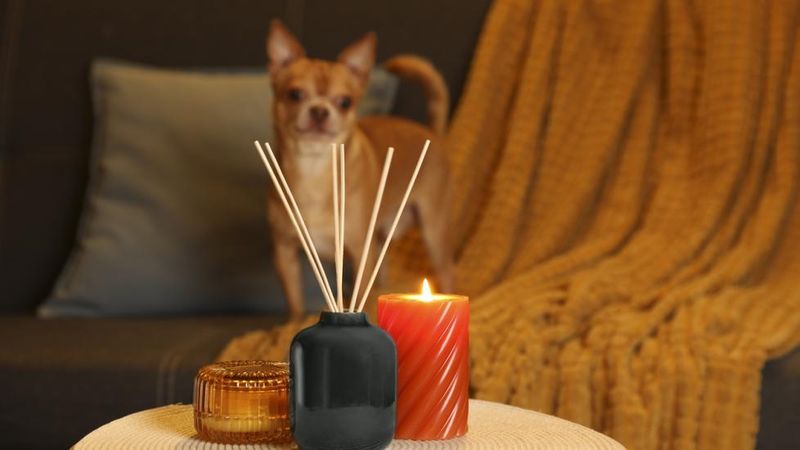 Essential Oil Diffusers