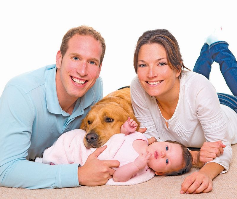 Bonding and Attachment