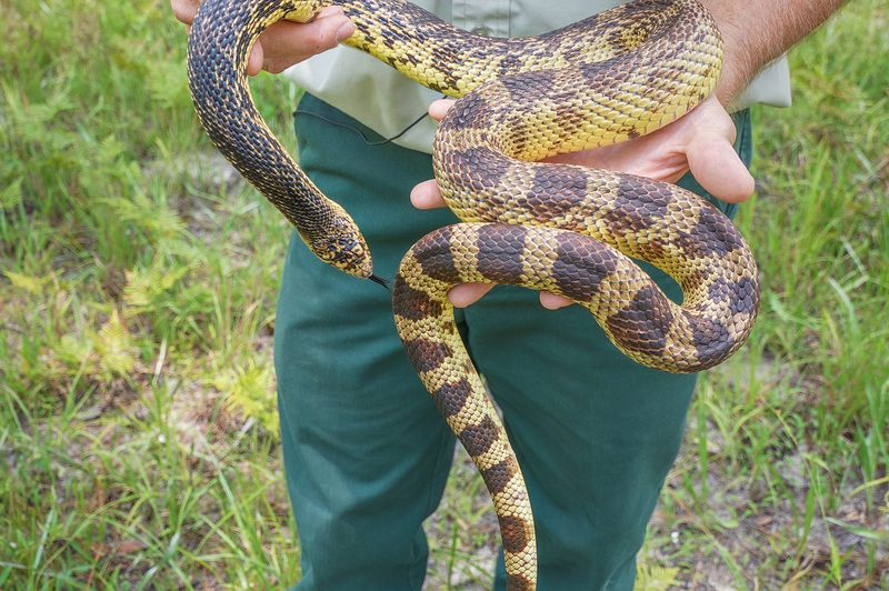 Louisiana