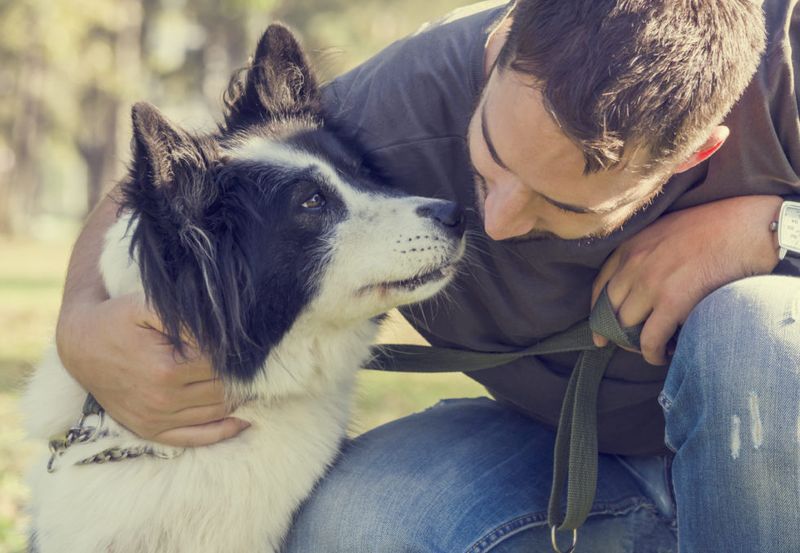 Consistent Companionship