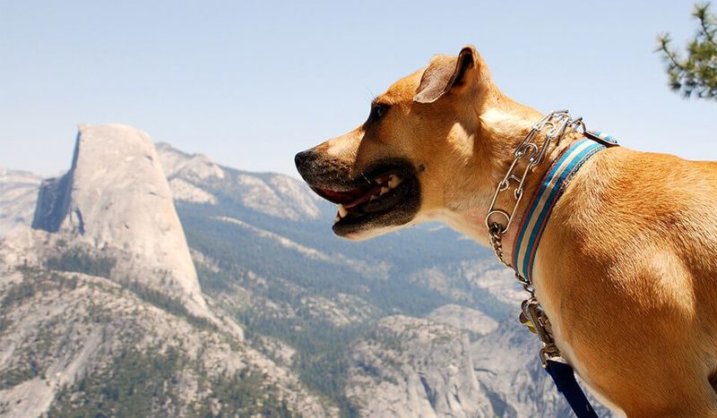 Half Dome, Yosemite National Park